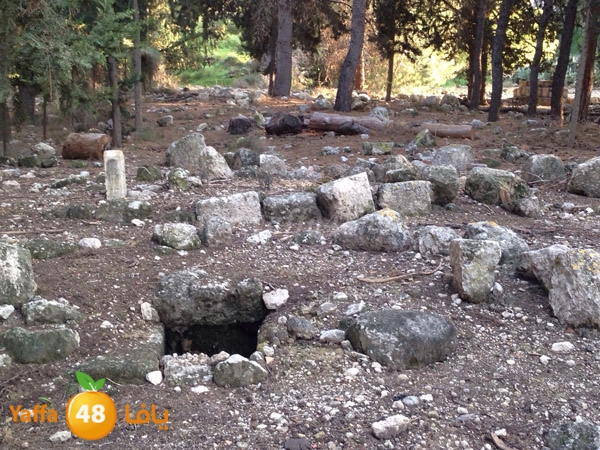 3emwass maqbara (2).JPG